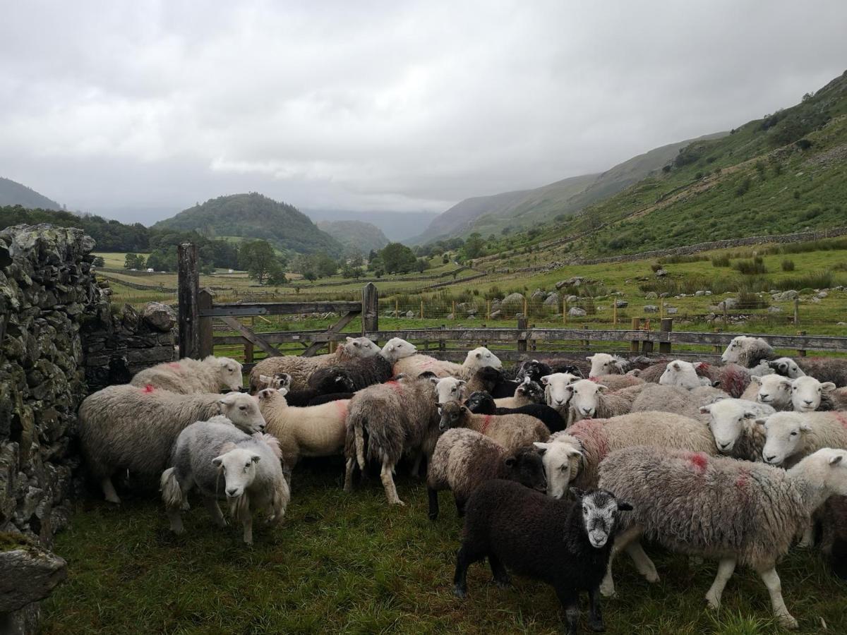 Stybeck Farm Villa Thirlmere Exteriör bild